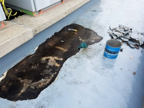 屋上防水層　剥がれ２